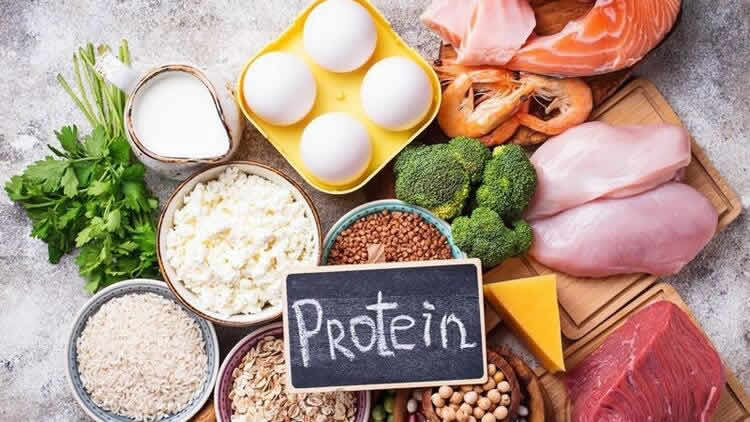 protein
