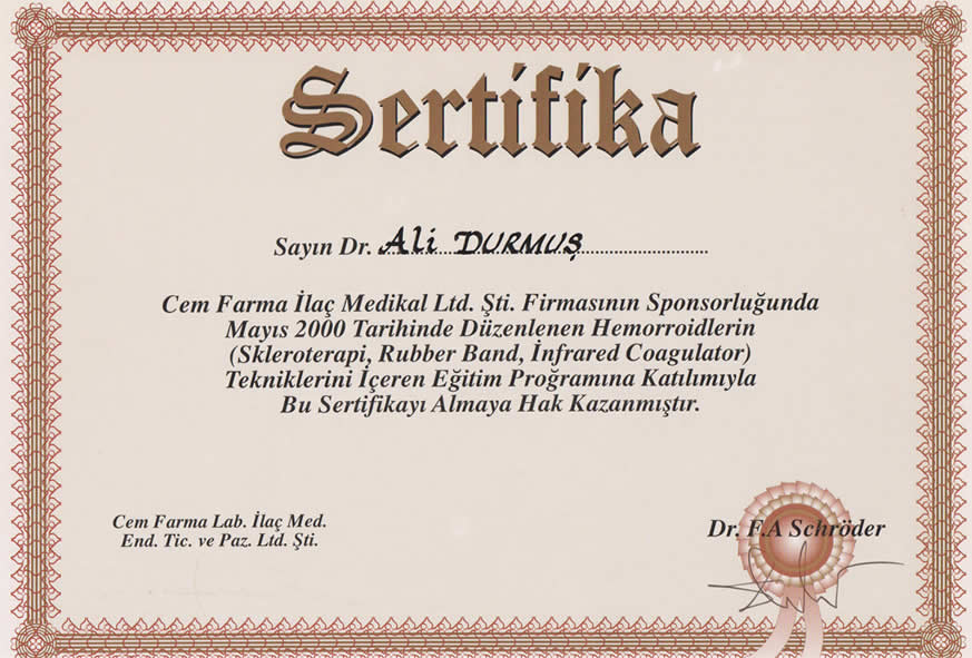 sertifika 2