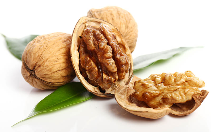 what is walnut